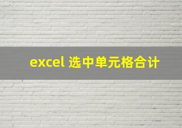 excel 选中单元格合计